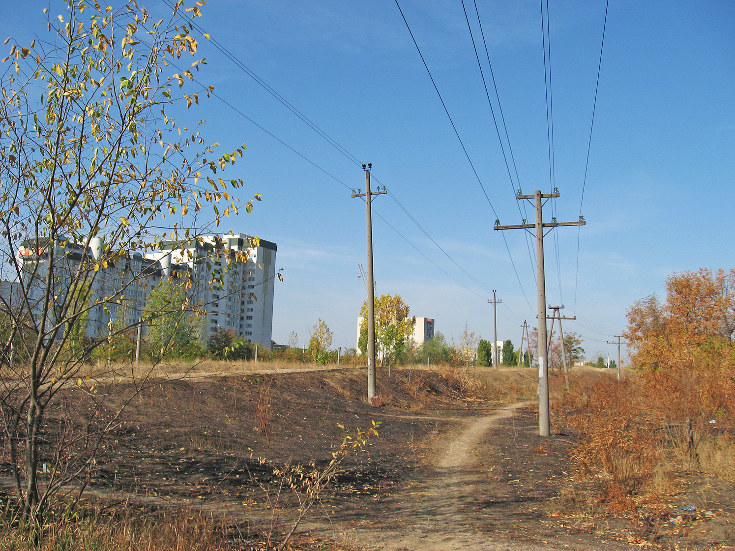 В посадке 3 328384866